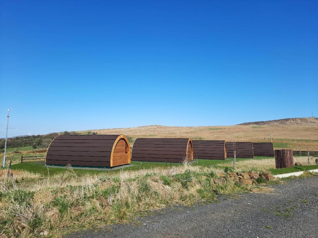 Standing Stones Lodge Belfast Eksteriør bilde