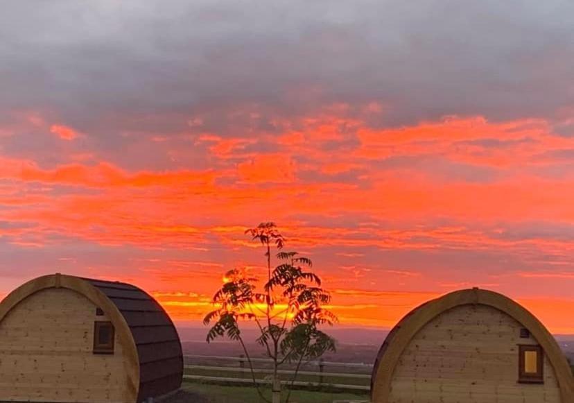 Standing Stones Lodge Belfast Eksteriør bilde
